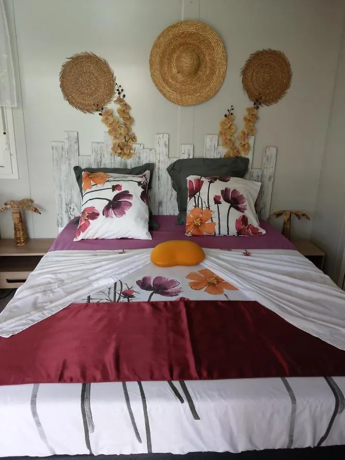 Gite cosy climatisé avec piscine privée Petit-Canal Hébergement de vacances