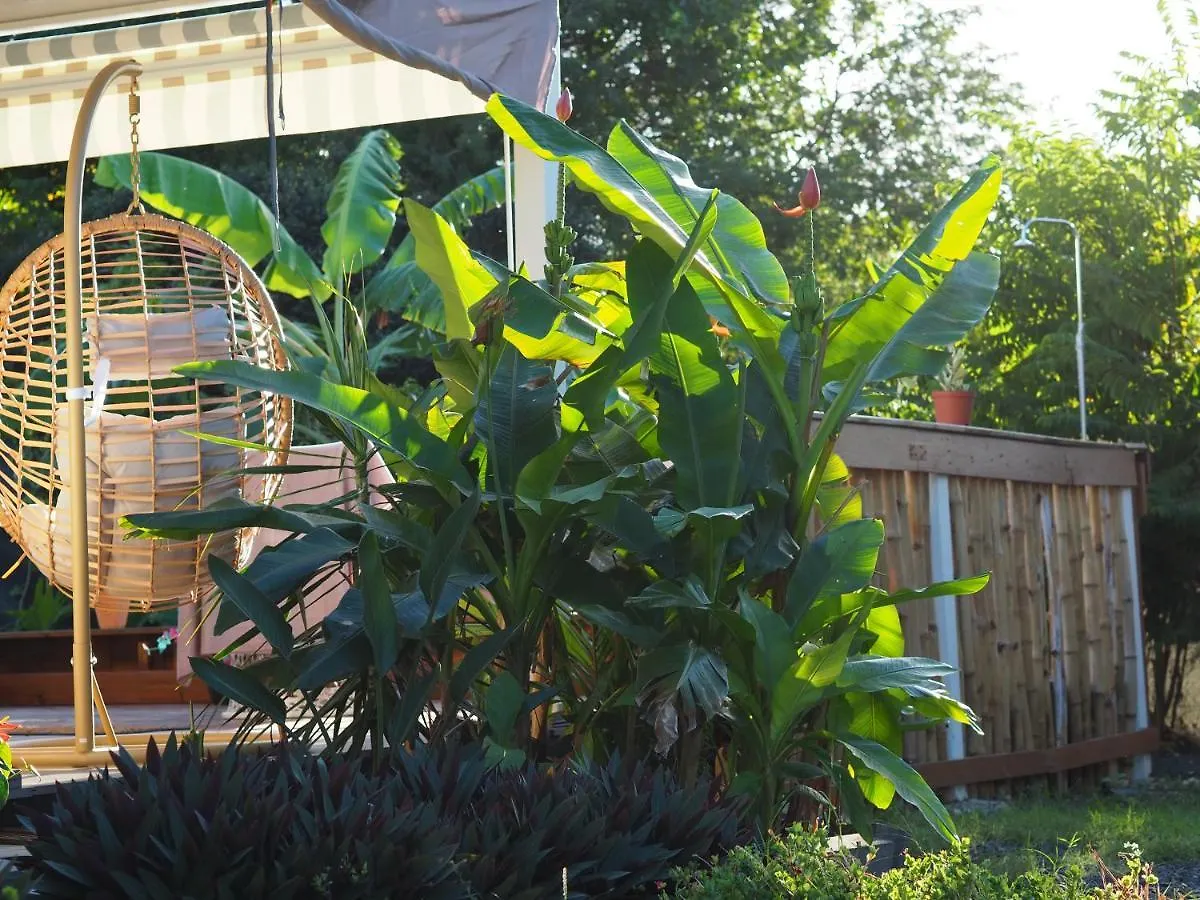 Gite cosy climatisé avec piscine privée Petit-Canal Hébergement de vacances