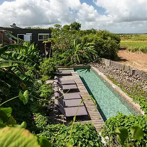 Appart hôtel La Mer De Canne - évasion Ivoire 1, Petit-Canal